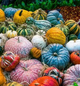 Prodaja sadja in zelenjave maribor in okolica