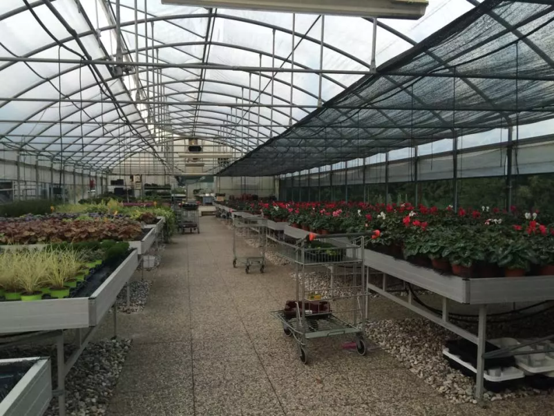 Vrtnarstvo Marvin Vipavska dolina