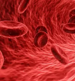 Advanced cell therapy in slovenia