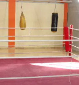 šport Slovenska Bistrica