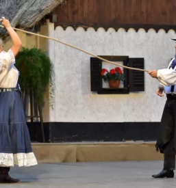 Javni zavod za turizem kulturo in sport beltinci