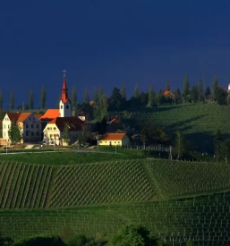 Javni zavod za turizem kulturo in sport obcine ormoz