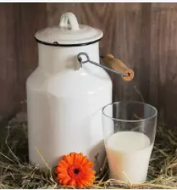 Odkup mleka Gorenjska