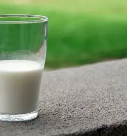 Odkup mleka Gorenjska