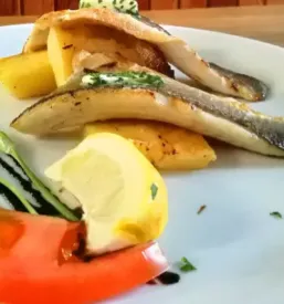 Odlicna gostilna postojna