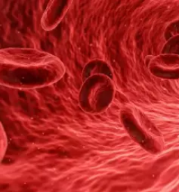 Pomoč onkologija slovenija