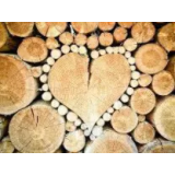 GRADBENE IN GOZDARSKE STORITVE ALJAŽ MEGLIC S.P.