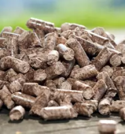 Proizvodnja in prodaja peletov primorska