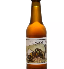 Proizvodnja in prodaja piva ajdovscina slovenija