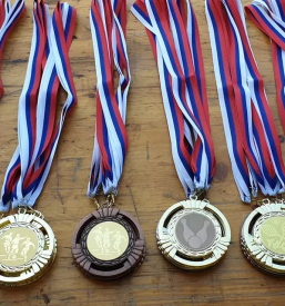 Javni zavod za šport Slovenska Bistrica Štajerska