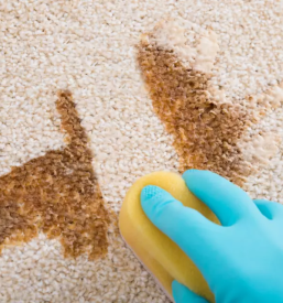 Ugoden cistilni servis celje slovenija