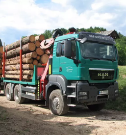 Ugoden odkup in prevoz lesa gorenjska