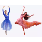 PLESNO POPOTOVANJE, NATAŠA LUTOVAC S.P.