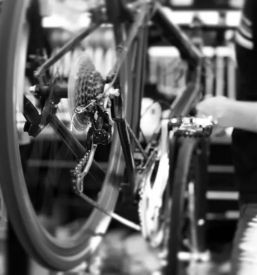 Bike rent Novo mesto