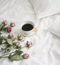 Dober apartma salamenci