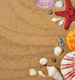 Najem udobnega apartmaja v kopru