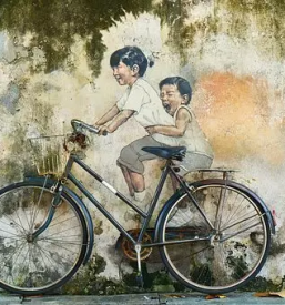 Profesionalen servis koles Novo mesto in Dolenjska