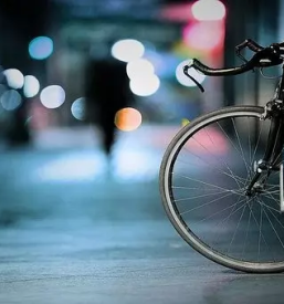 Poceni profesionalen servis koles Novo mesto