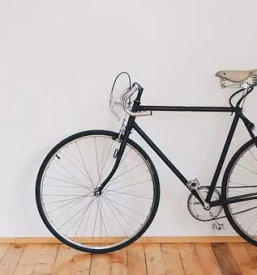 Kvaliteten in profesionalen servis koles Novo mesto