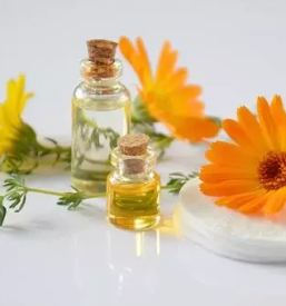 Dobra bioterapiija na daljavo v sloveniji