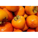 UVOZ IN PRODAJA BLAGA, FATON SELMANI S.P.