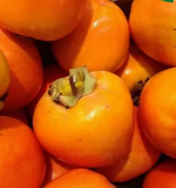 Sezonsko sadje in zelenjava ziri