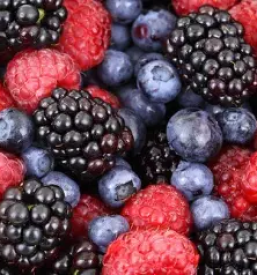 Sezonsko sadje in zelenjava ziri