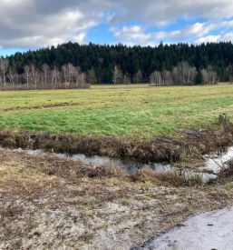Ugoden najem piknik prostora ljubljana okolica