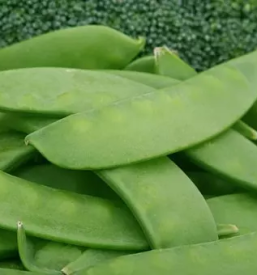 Odkup kmetijskih pridelkov osrednja slovenija