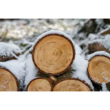 UDIRLES, JURIJ UDIR S.P.