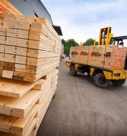 Trgovina in proizvodnja lesa sentjur