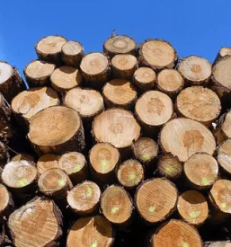 Trgovina in proizvodnja lesa sentjur