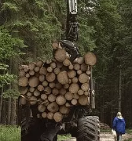 Trgovina in proizvodnja lesa sentjur