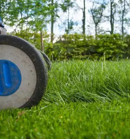 Ugodno urejanje okolice siska koseze