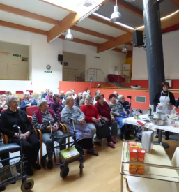 Dom starejsih obcanov ilirska bistrica primorska