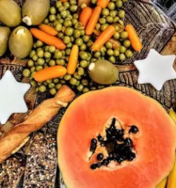 Ekoloska prehrana in prehranska dopolnila obala