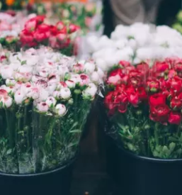 Hitra dostava cvetja velenje in okolica