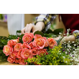 Cvetličarstvo na terenu, Cvetje na vasi, Mateja Iršič s.p.