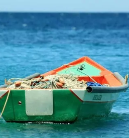 Kvalitetno popravilo colnov stajerska