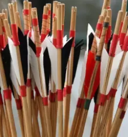 Team building za lokostrelstvo slovenija