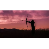 DRAME V ŠPORTU, LOKOSTRELSTVO SANDI DRAME S.P.