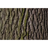 Rado Dolenc - nosilec dopolnilne dejavnosti na kmetiji