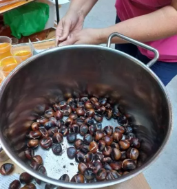 Dom starejsih obcanov ilirska bistrica primorska