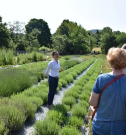 Dom starejsih obcanov ilirska bistrica primorska