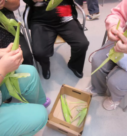 Dom starejsih obcanov ilirska bistrica primorska