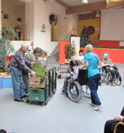 Dom starejsih obcanov ilirska bistrica primorska