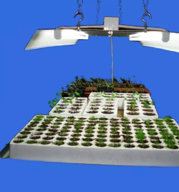 Led svetila za vzgojo rastlin slovenija