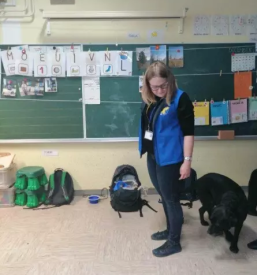 Osnovna sola gornja radgona pomurje