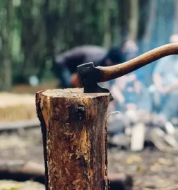 Secnja spravilo in transport lesa slovenke konjice