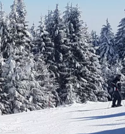 Smucisce stari vrh gorenjska